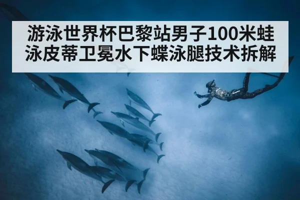 游泳世界杯巴黎站男子100米蛙泳皮蒂卫冕水下蝶泳腿技术拆解